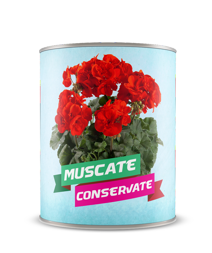 Muscate conservate